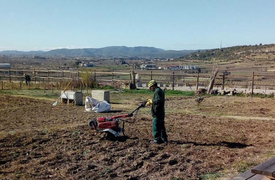 Hort urbà