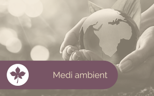 Medi ambient