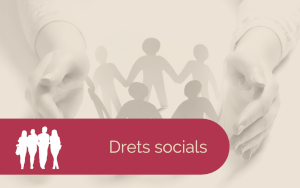 Serveis socials